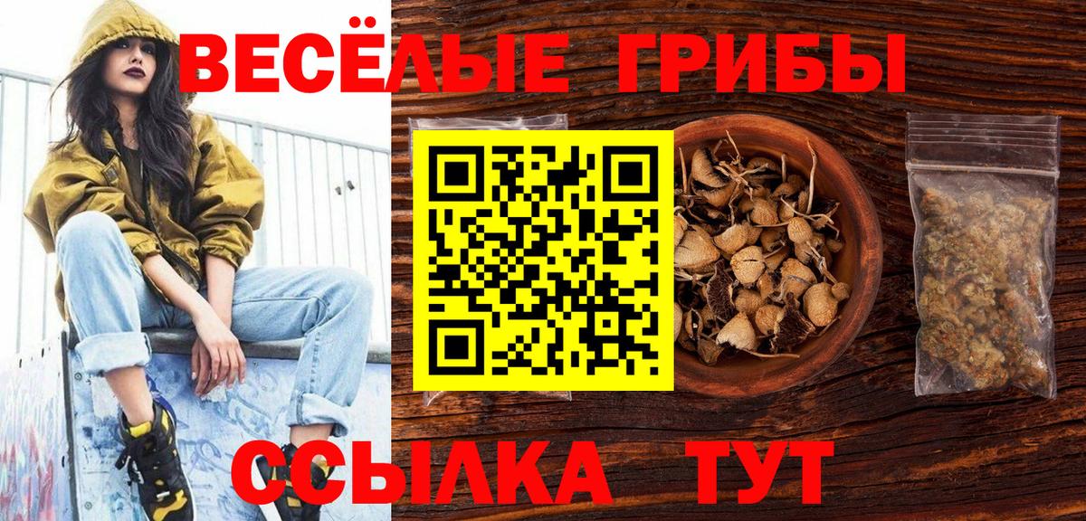 Псилоцибиновые грибы Magic Shrooms Топки