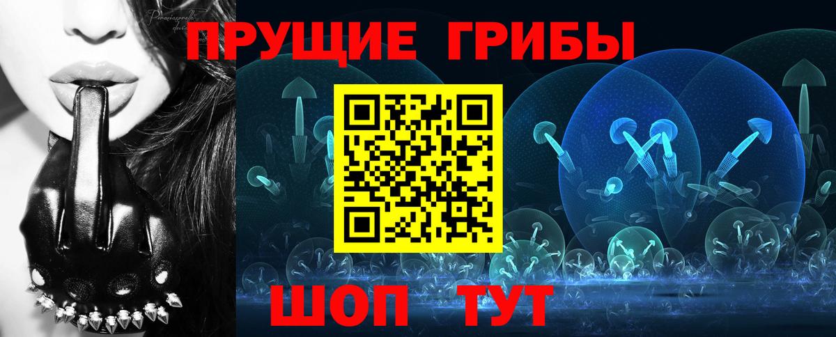 Псилоцибиновые грибы GOLDEN TEACHER  Вход с VPN  Топки  Галлюциногенные грибы MAGIC MUSHROOMS 